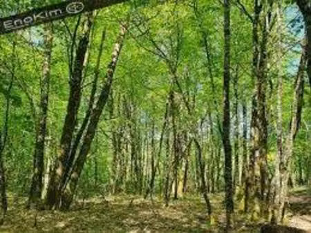 terrain champêtre/forestier à vendre