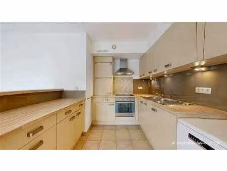 rez-de-chaussée avec grande terrasse + garage