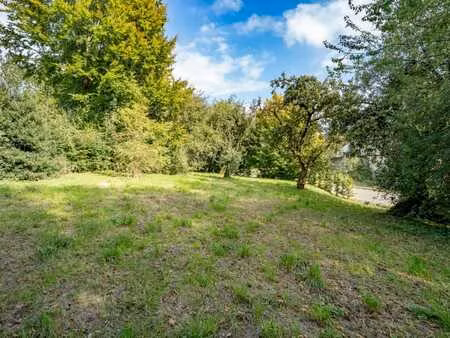 terrain de 12 ares (50m à rue) avec permis à vaux-sur-sûre