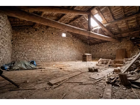 vente maison 1 pièce 230 m² savigny (69210)