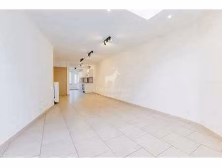 maison 2 chambres avec jardin à louer sur fayt-lez-manage