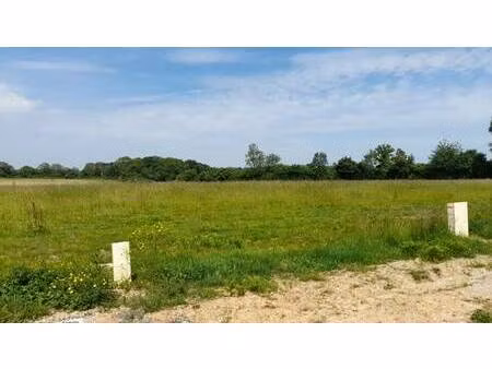 terrain constructible à vendre