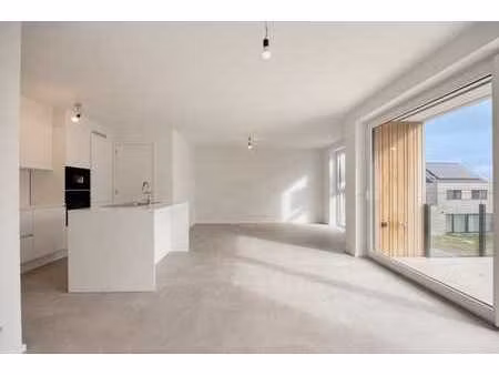 denderleeuw  anjelierenlaan - steenweg - fase 3 (anjelier...