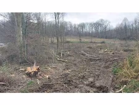 grand terrain à vendre floreffe-franière