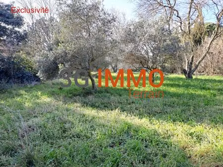 terrain constructible