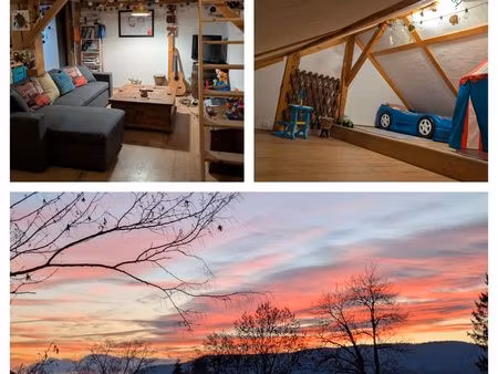 maison chalet plein pied