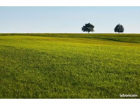 terrain 1 100 m² – 248 000 – la mézière (35520)