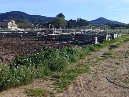 location terrain pour chevaux