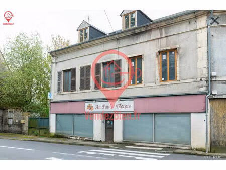 vente maison 6 pièces 300 m² blet (18350)