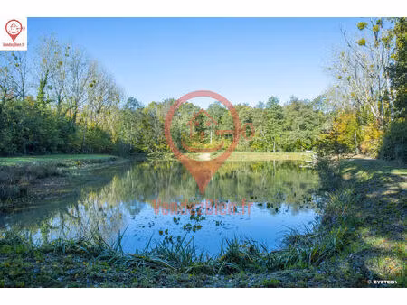 vente terrain 9062 m² oizon (18700)