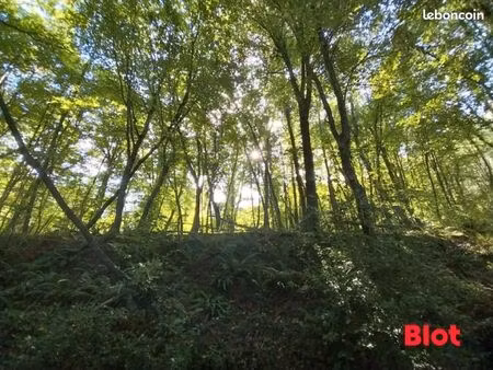 terrain 10 680 m² la vicomte sur rance