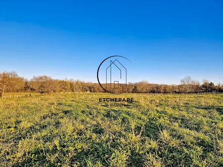 terrain constructible