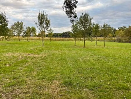 terrain agricole pour chevaux