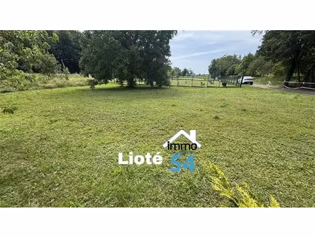 vente terrain 501 m² à crévéchamps (54290)  45 000 €