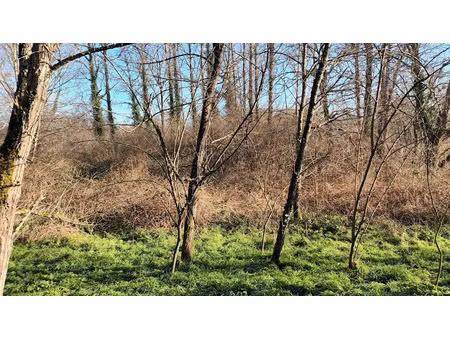 vente terrain à batir 5516 m² à villandraut (33730)  14 000 €