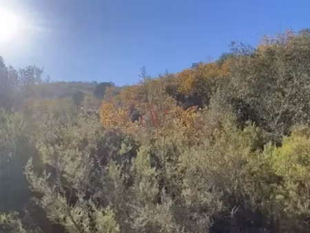 vente terrain 16106 m² à castelnou (66300)  39 000 €