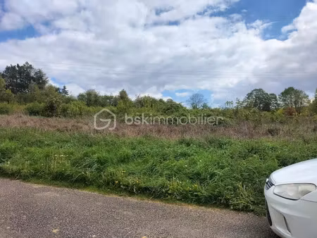 vente terrain 1195 m² à pourrain (89240)  38 770 €