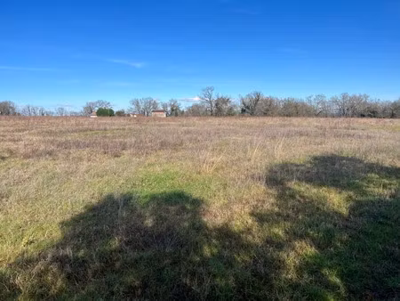 vente terrain 2480 m² à saint-sever (40500)  65 000 €