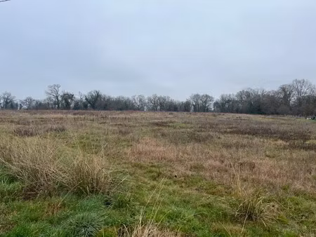 vente terrain 2480 m² à saint-sever (40500)  69 500 €