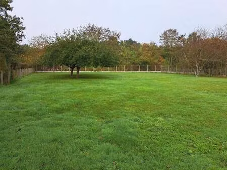 vente terrain à changé (72560) : à vendre / 1433m² changé