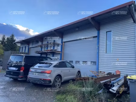 vente local d'activités thurins 69510