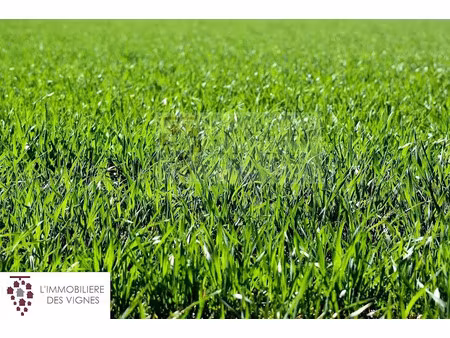 vente terrain 620 m² à martillac (33650)  177 500 €