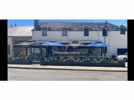 immeuble et fond de commerce chatillon-coligny