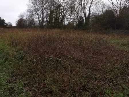 vente terrain à bâtir 2 655 m²