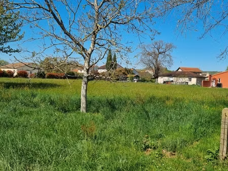 vente terrain à bâtir 2 747 m²