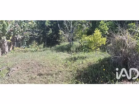 vente terrain 446 m² à la plaine des cafres (97418)  114 000 €