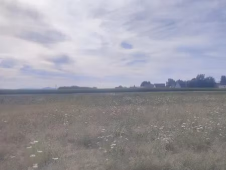 vente terrain 499 m² à muntzenheim (68320)  124 750 €