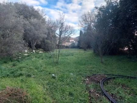 vente terrain 970 m² à camps-la-source (83170)  131 000 €