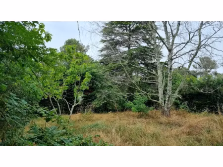 vente terrain 800 m² à saint-médard-en-jalles (33160)  225 000 €