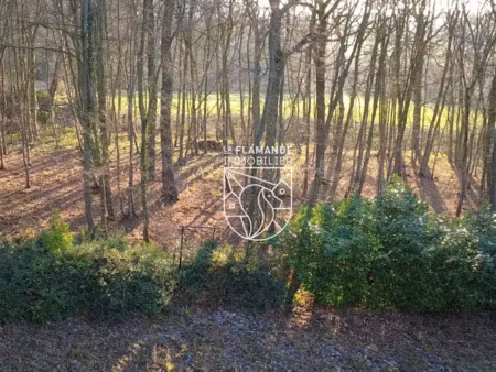 vente terrain 13625 m² à morbecque (59190)  210 000 €