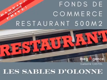 vente locaux professionnels 500 m² à chateau-d'olonne (85180)  163 000 €