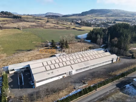 vente locaux professionnels 5667 m² à laussonne (43150)  577 000 €