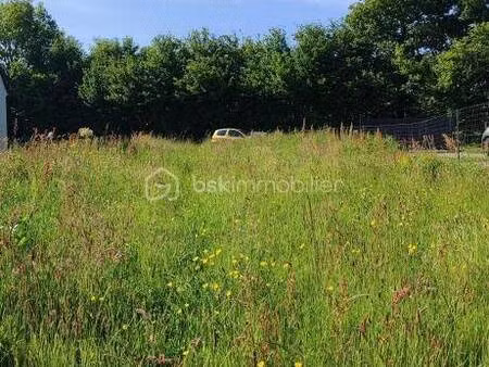 valerie delion bsk immobilier