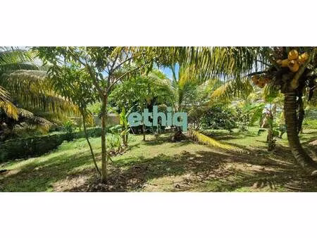 terrain constructible à vendre