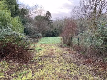 vente terrain 1335 m² à le teich (33470)  570 000 €