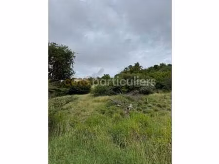 terrain a vendre en martinique  martinique