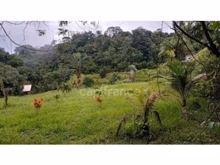 dpt guyane (973)  à vendre terrain constructible de 11 198 m² à matoury – chemin paramana 