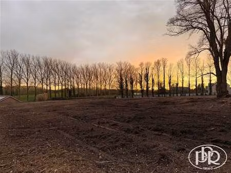 terrain exceptionnel  quartier calme et verdoyant