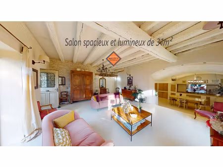 belle maison de charme en pierres rénovée avec jardin  de 13