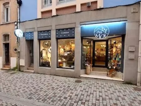 immobilier professionnel à louer épinal