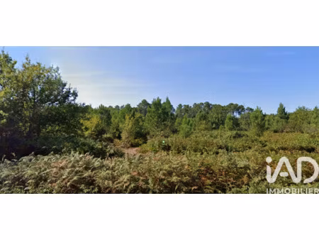 vente terrain 15 674 m²