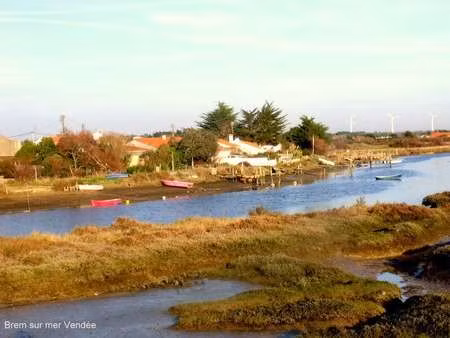 vente terrain à brem-sur-mer (85470) : à vendre / brem-sur-mer