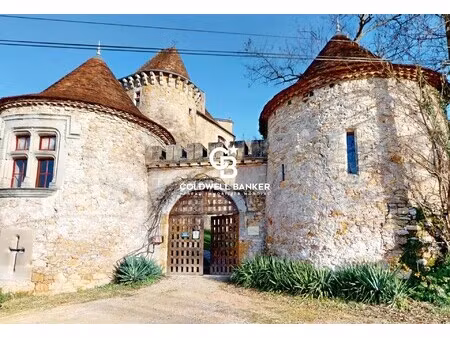 vente château 35 pièces