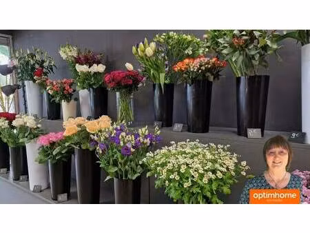 vallerian isabelle agent mandataire optimhome