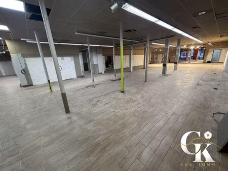 immobilier professionnel à vendre grenoble