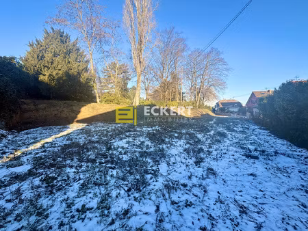 a molsheim  terrain de 7.28 ares